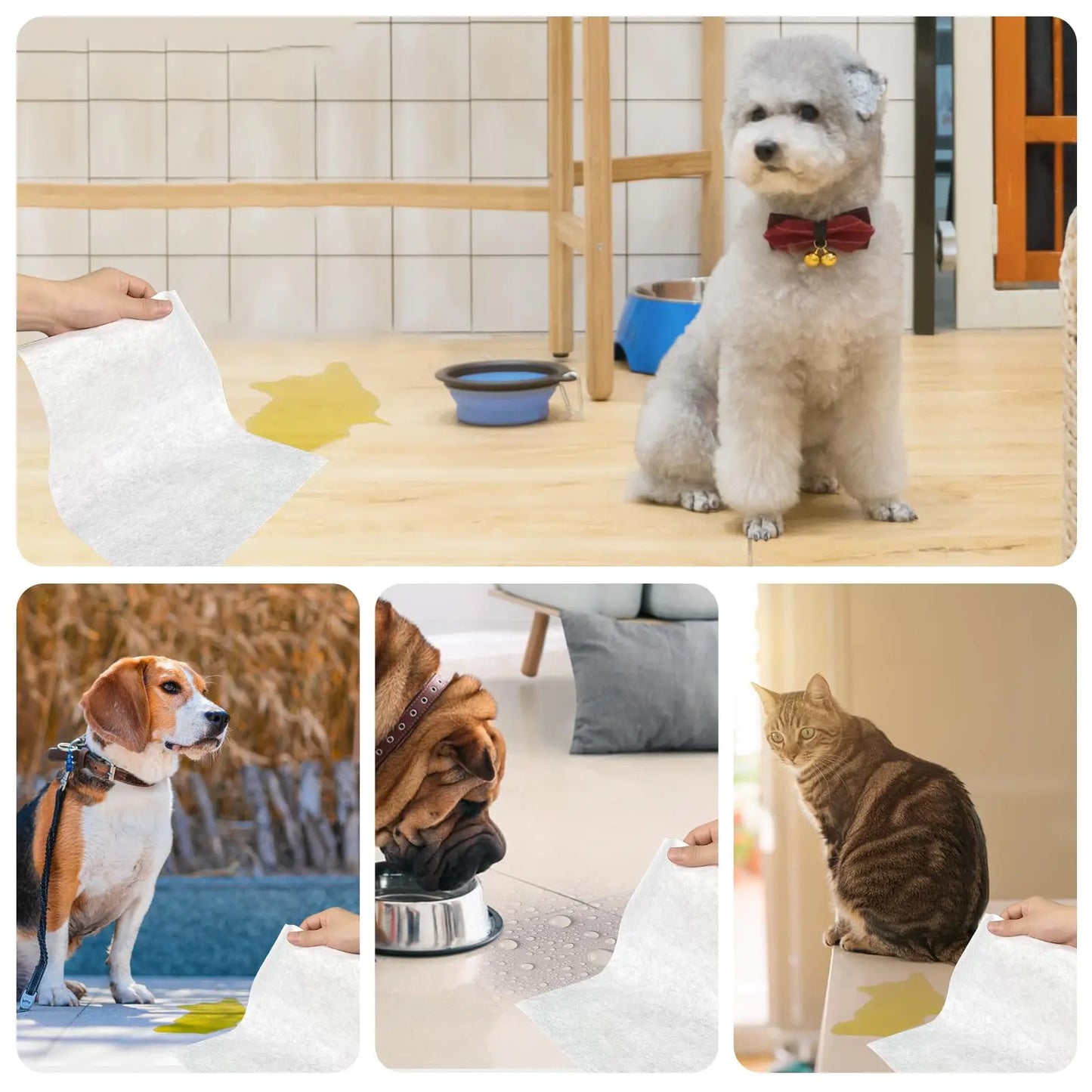 Pet Quick Absorbent Sheets, New Style Dog Pee Pad, 12"X10" for Urine and Pet Stain & Odor Remover