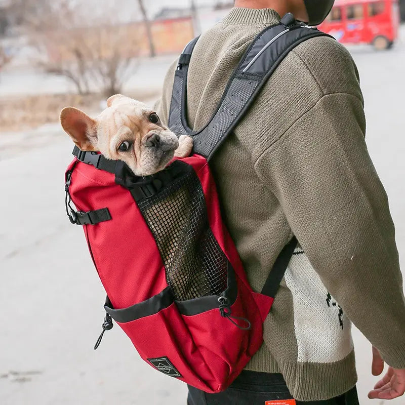 Pet Dog Double-Shoulder Carrier Backpack, Portable Polyester Animal Carrier Travel Bag for Dogs, Available in Red Blue Gray Black, S M L XL Sizes (80 Capacity)