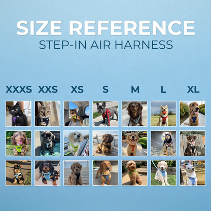 Voyager Step-In Air Dog Harness No Pull - Breathable All Weather Mesh, Lightweight Adjustable Vest for Small Medium Dogs & Cats - Reflective, Triple Security, Easy Step-In Design by Best Pet Supplies
